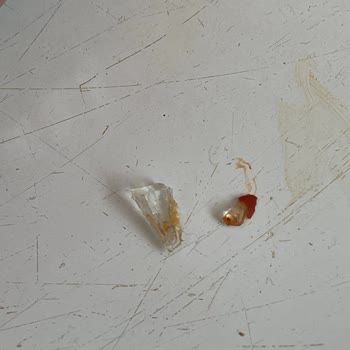 Cam Parçası Bulunan Kahvaltılık Üründe Güvenlik Krizi