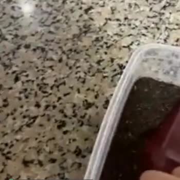 Çaykur Tiryaki Çay Resmen Toz Doldurulmuş!