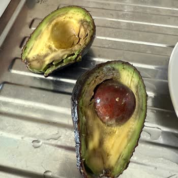 Makrocenter Avokado Kalite Sorunu Ve Yüksek Fiyat