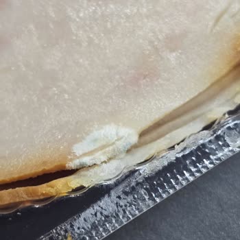 Namet Hindi Füme Ürünün Küflenmesi Marka Güvenini Sarsıyor