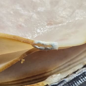 Küflü Namet Hindi Füme Ürünü Kim Market'te Güvenimi Sarsıyor