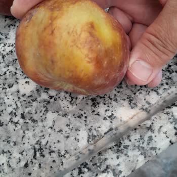 Taze Dükkan'dan Bozuk Elma Teslimatı Ve Cevapsız Şikayet