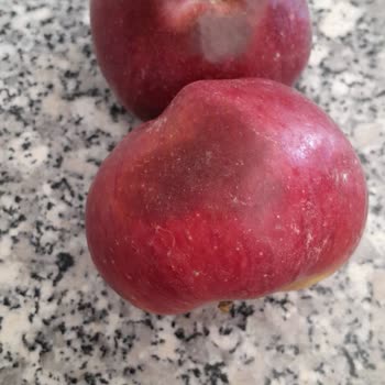 Taze Dükkan'dan Bozuk Elma Teslimatı Ve Cevapsız Şikayet