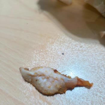 Çiğ Tavuk Ve Kıllı Yağ İçeren Dönerde Hijyen İhlali, Personelin Umursamaz Cevabı