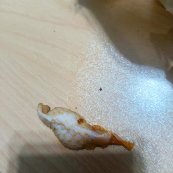 Çiğ Tavuk Ve Kıllı Yağ İçeren Dönerde Hijyen İhlali, Personelin Umursamaz Cevabı