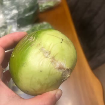 Gecikmeli Siparişte Birden Fazla Ürün Küflü Ve Çözüm Yok