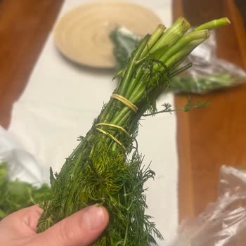 Gecikmeli Siparişte Birden Fazla Ürün Küflü Ve Çözüm Yok