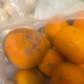 Gecikmeli Siparişte Birden Fazla Ürün Küflü Ve Çözüm Yok