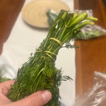 Gecikmeli Siparişte Birden Fazla Ürün Küflü Ve Çözüm Yok