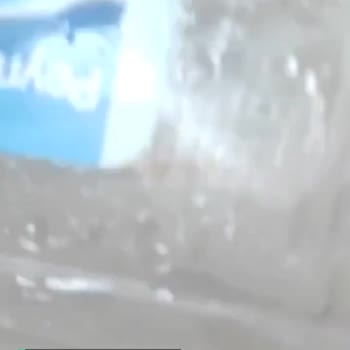 Peynes Peynir Memnuniyetsizliği
