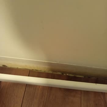 Süpürgeliklerin Yerinden Çıkması Ve Bahçedeki Saksıların Kırılması