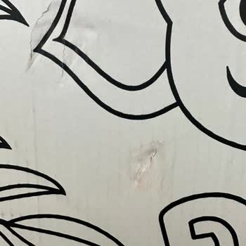 Karton Ürünün Korunmasız Gönderimi Nedeniyle Hasarlı Geldi, Ücret İadesi Talep Ediyorum