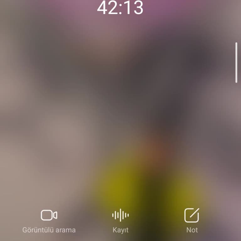 Kargonun Teslim Edilmemesi Ve Bir Günde Kargo İletişimsizliği Üzerine Acil Talep