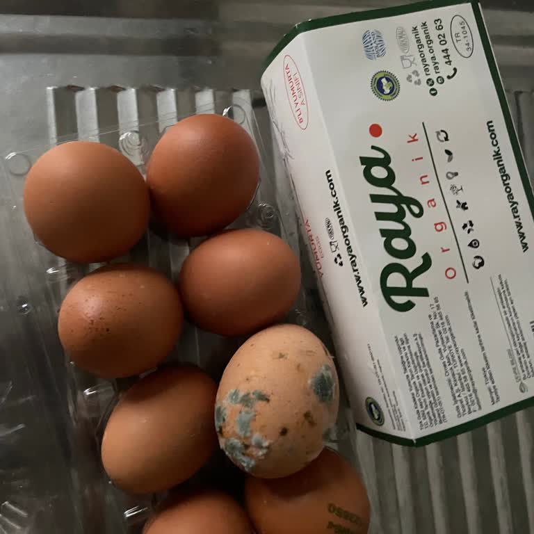 Küflenmiş Yumurta Ve Bozulmuş Portakal, Poşet Ücretinde Haksızlık