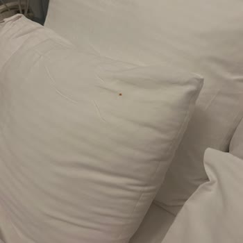 Çankaya Otel’de Su Sızıntılı Kahvaltı Ve Kirli Oda Temizliği Nedeniyle İade Talebi