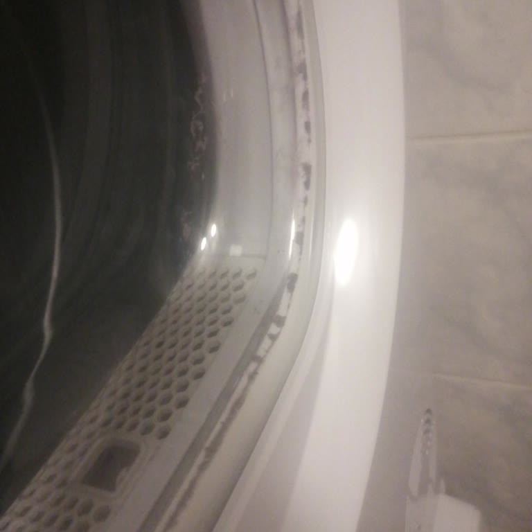 Hoover Kurutma Makinesinde Kapak Camı Toz Birikimi Şikayeti