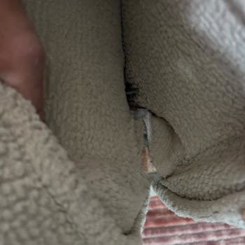 Ayıplı Kanepeler Ve Cevapsız Mağaza İletişimi