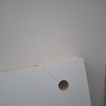 Yanlış Ve Hasarlı Ayakkabılık Gönderimi İçin Hızlı İade Ve Değişim Talebi