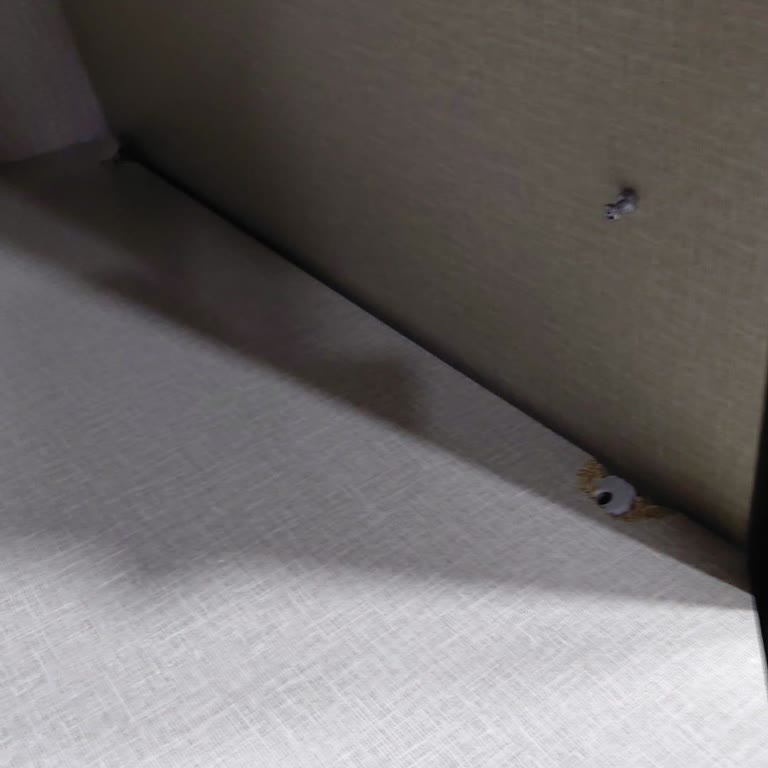 Kelebek Mobilya Raf Tesliminde Uzun Süreli Gecikme Ve Bilgilendirme Eksikliği