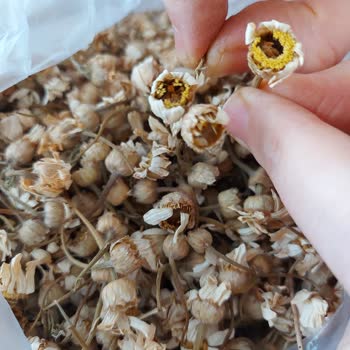 Ödeme Çekildi Ama Sipariş Oluşmadı Ve Geri Ödeme Talebi