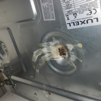 Luxell Ankastre Ocakta Su Sızdırması Ve Düğme Lekeleri, Değişim Talebim Reddedildi