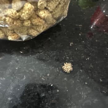 Kuru Dut Paketi İçindeki Diken Çocuk Sağlığını Tehdit Ediyor