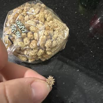 Kuru Dut Paketi İçindeki Diken Çocuk Sağlığını Tehdit Ediyor