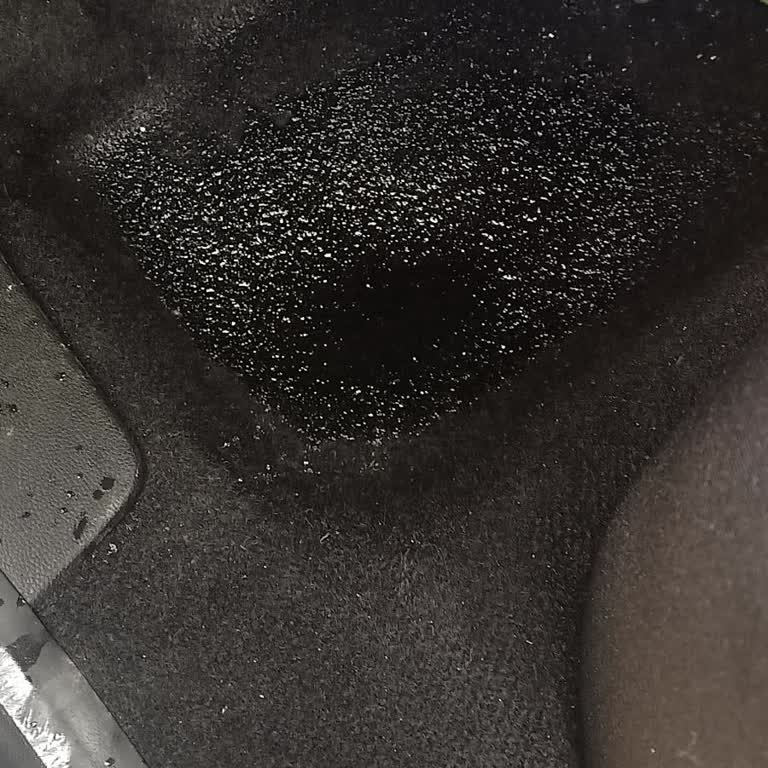 Dacia Sandero Stepway Araçlarında Sürekli Su Girişi Ve Kalıcı Çözüm Talebi