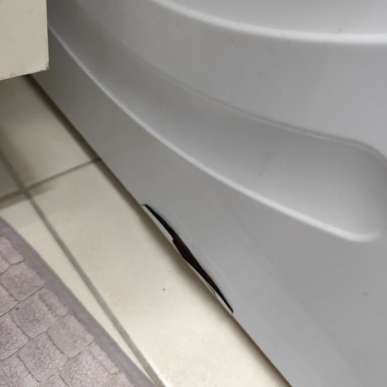 Bosch Çamaşır Makinesinin Kapaklarındaki Boya Dökülmesi Garantide Değerlendirilmeli