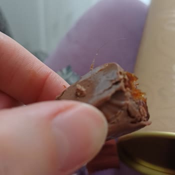 Mascho Sütlü Kokolin Kaplı Bademli Hurma’da Saç Benzeri Yabancı Madde Bulundu