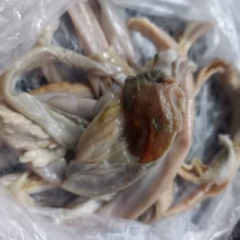 @izmrrkoko35 Kokorecin İçinde Hayvan Pisliklerine Benzer Parçalar Olması