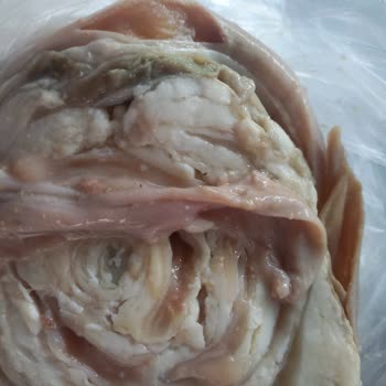 @izmrrkoko35 Kokorecin İçinde Hayvan Pisliklerine Benzer Parçalar Olması