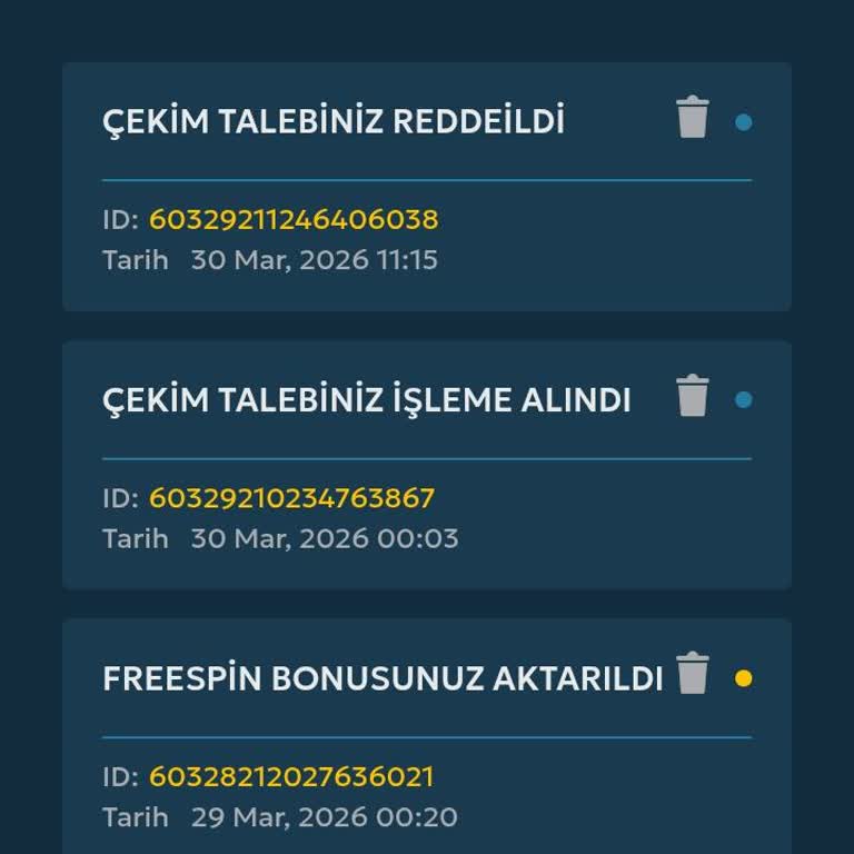 Yüksek Tutarlı Havale Transferinde Gecikme Ve Müşteri Desteği Yokluğu