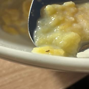 Kellys Ballı Mısır Gevreğinde Görülen Bit Ve Kurt Benzeri Canlılar Gıda Güvenliğini Sarsıyor