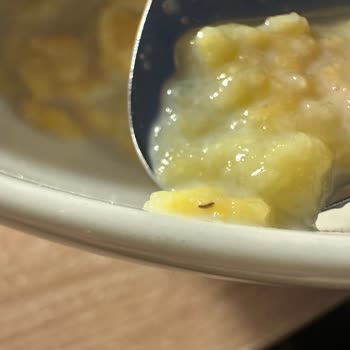 Kellys Ballı Mısır Gevreğinde Görülen Bit Ve Kurt Benzeri Canlılar Gıda Güvenliğini Sarsıyor