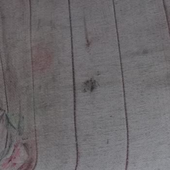 Atlas Halı Yıkama’da Yüzeysel Temizlik, Nemli Teslim Ve Küflenme Sonrası Saygısız Tutum