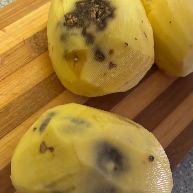 Bebek İçin Aldığım Patateslerde Çürüme Ve Kontrol Eksikliği