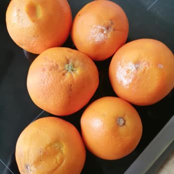 Migros Meyve Ve Sebzeler Çürük Ve Ezik Şekilde Geldi