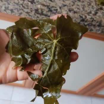 Naturell Salamura Yaprakları Görsellerle Uyuşmuyor, Satıcı Cevap Vermiyor