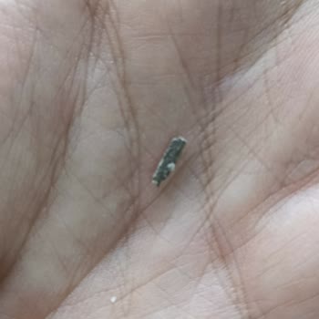 Halk Ekmekte Yabancı Madde Bulundu: Gıda Güvenliği Endişesi