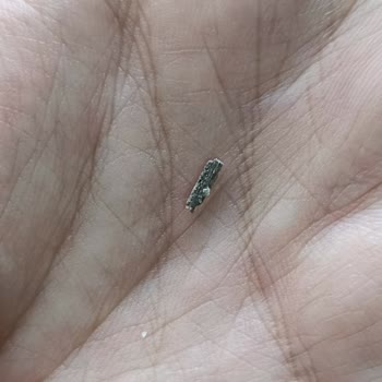 Halk Ekmekte Yabancı Madde Bulundu: Gıda Güvenliği Endişesi