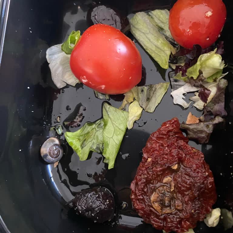 Salata İçinde Salyangoz: Hijyen İhlali