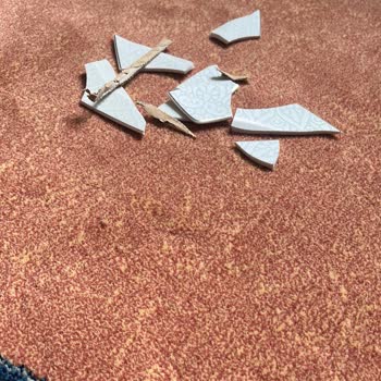 Schafer Yemek Takımındaki Tekrarlanan Kırık Ve Silik Desen Sorunu Nedeniyle Para İadesi Talebi