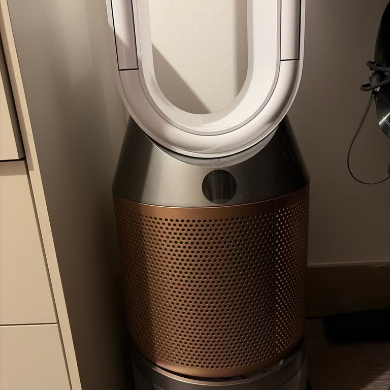 Dyson Buharlı Hava Temizleyicinin Göz Kızarıklığı Ve Alerjik Reaksiyonlara Neden Olması