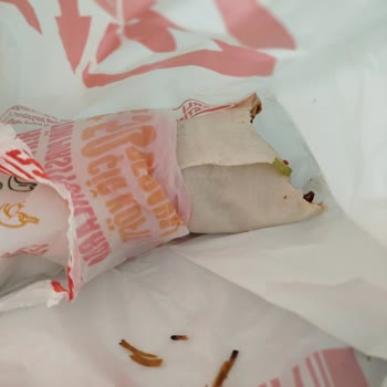 Trendyol GO’da Sert Çiğ Köfte Nesnesi Ve Ücret İade Reddi