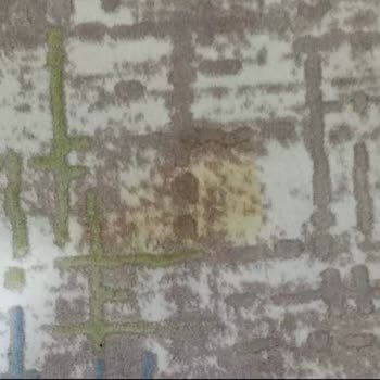 Pas Tutmuş Bissell Revolution Makinesinde Yanma Ve Duman Sorunu, İade Talebi Reddedildi