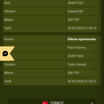 2000 TL Yatırımı İçin Kodlar Gelmedi Ve Depozito Hatası Sürekli Görünüyor