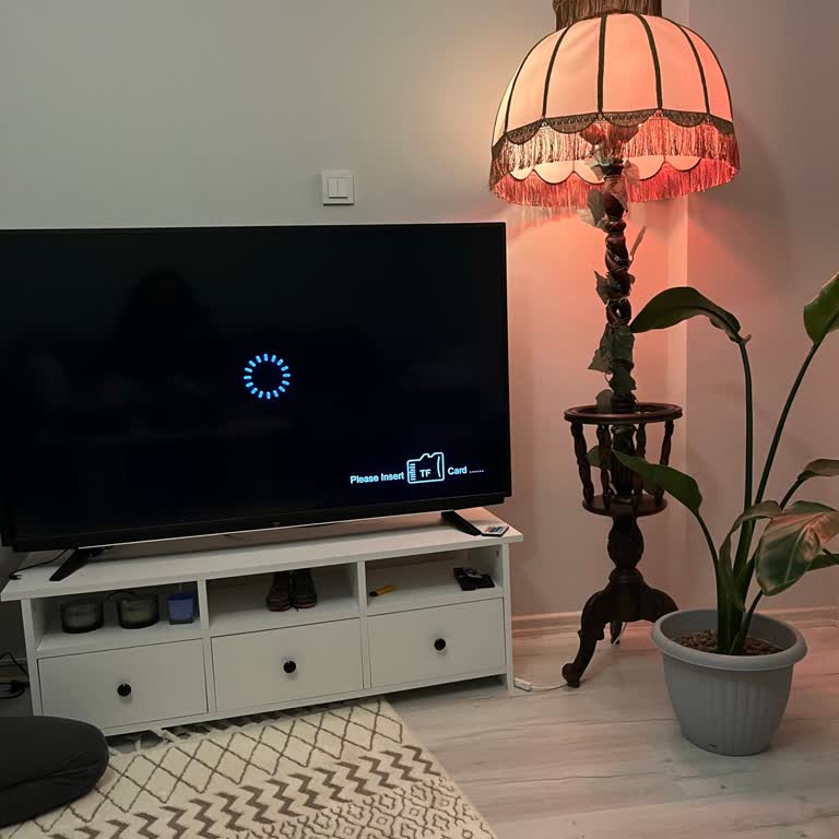 Tekrarlanan SD Kart Okumama Hatası Ve Satıcı Güven Sorunu