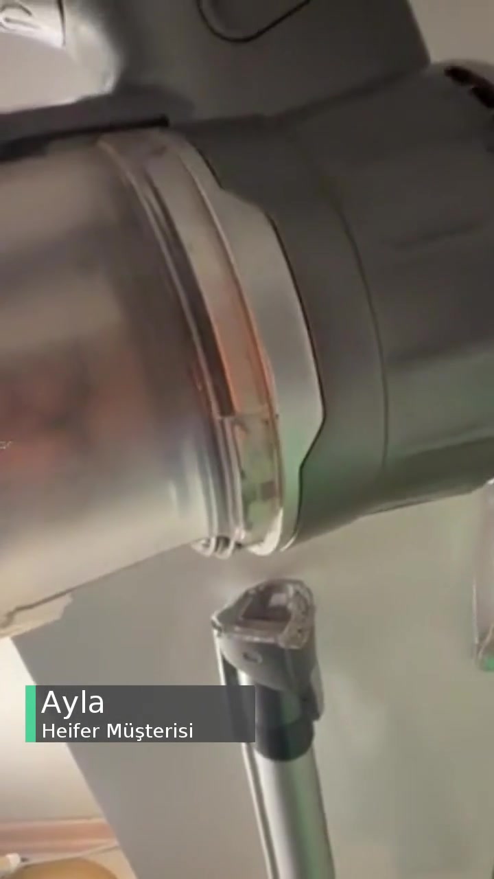 Heifer Gövdesi İkiye Ayrıldı Süpürgenin! videonun kapak resmi