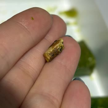 Paket Tatlıda Tahta Parçası Bulunması Sağlık Güvenliğini Tehlikeye Attı